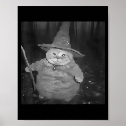 Fat Wizard Cat Fat Kitten Wizard Funny Cat Meme Br Poster (Vorne)