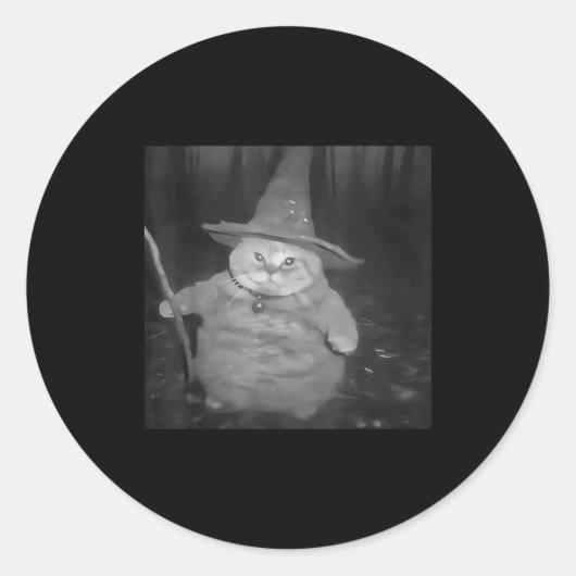 Fat Wizard Cat Fat Kitten Wizard Funny Cat Meme Br Runder Aufkleber (Vorderseite)