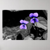 Fatal Violet Poster (Vorne)