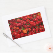 Fataliis Chile Paprikaschoten 2 Rechteckiger Aufkleber (Umschlag)