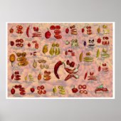 Fataliis Split Chile Paprikaschoten! Poster (Vorne)