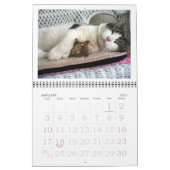 Fatboy Babushka 2017 Kalender (Jan 2027)