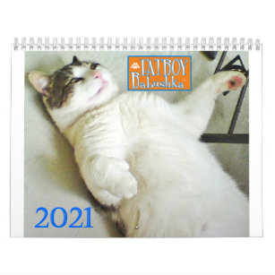 Katze Kalender Zazzle De