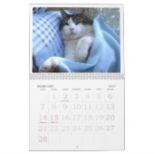 FATBOY BABUSHKA CALENDAR 2023 KALENDER (Feb 2027)