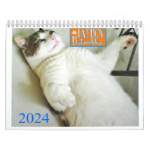 FATBOY BABUSHKA CALENDAR 2024 KALENDER (Titelbild)