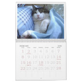 FATBOY BABUSHKA CALENDAR 2024 KALENDER (Feb 2026)