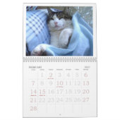 FATBOY BABUSHKA CALENDAR 2025 KALENDER (Feb 2027)