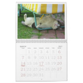 FATBOY BABUSHKA CALENDAR  KALENDER (Mär 2027)