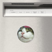 FATBOY BABUSHKA ROUND MAGNET (In Situ (Geschirrspüler))