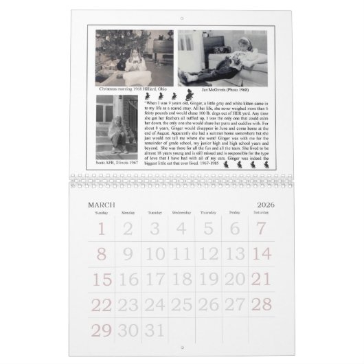 Fatboy Babushka und Freund-1. Miezekatze-Kalender Kalender (Mär 2026)