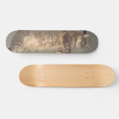 FatCat-Board Skateboard (Horizontal)