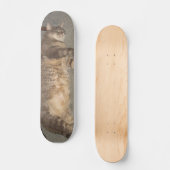 FatCat-Board Skateboard (Vorderseite)