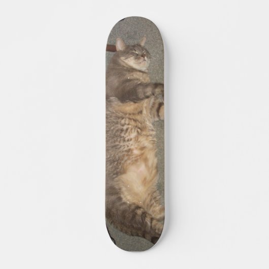 FatCat-Board Skateboard (Vorne)