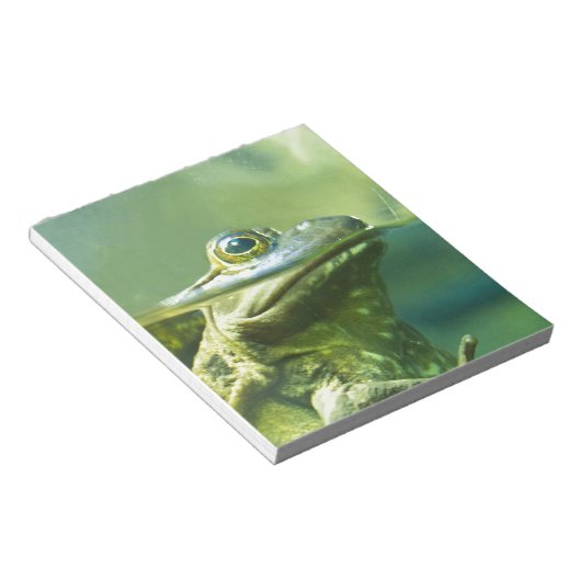 Fatfrosch Notizblock (angewinkelt)