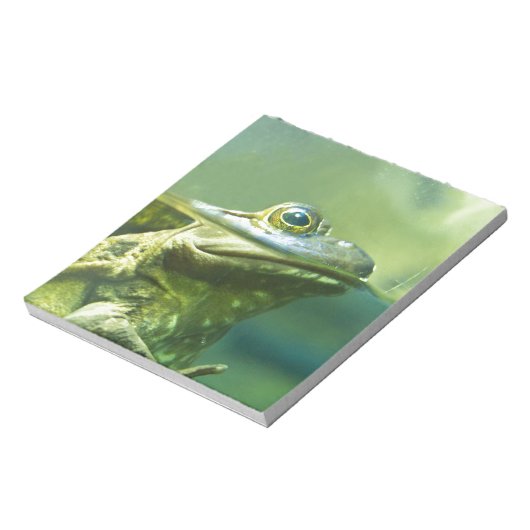 Fatfrosch Notizblock (Rotiert)