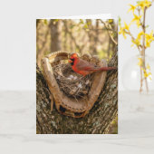 Father's Day Cardinal Nest in a Baseball Glove Karte (Gelbe Blume)