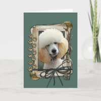Fathers Day - Stone Paws - Poodle - Apricot