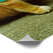 Fatso, Original Keyboard Cat 1984 Poster (Ecke)