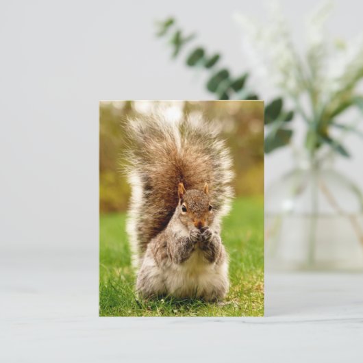 Fatterichhörnchen Postkarte (Stehend Vorderseite)
