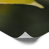 Faul Poster (Ecke)