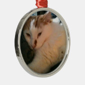 Faule, entspannte Katze Silbernes Ornament (Rechts)