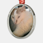 Faule, entspannte Katze Silbernes Ornament (Links)