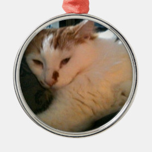 Faule, entspannte Katze Silbernes Ornament