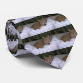 Faule Katze Krawatte (Gerollt)