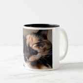 Faule Katzen-Tasse Zweifarbige Tasse (VorderseiteRechts)