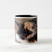 Faule Katzen-Tasse Zweifarbige Tasse (Mittel)