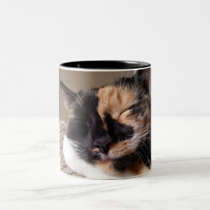 Faule Katzen-Tasse Zweifarbige Tasse