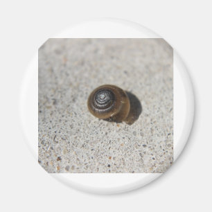 Faule Schnecke Magnet