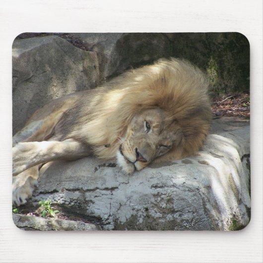 Faule Tage Mousepad (Vorne)