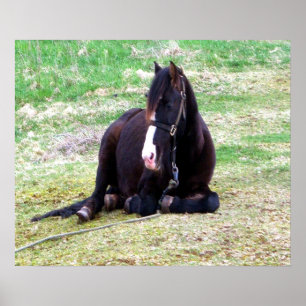 Faule TagesLeinwand Poster