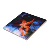 Faule tropische unterseeische Starfish Fliese (Seite)