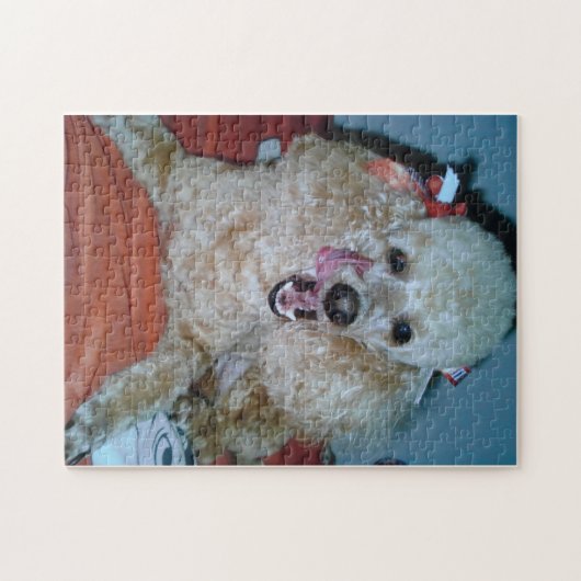 Faulen Tages Puzzle (Horizontal)