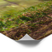 Faulenztag Poster (Ecke)