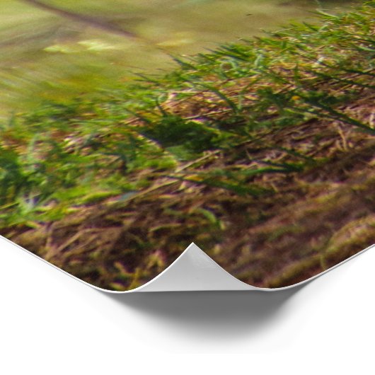 Faulenztag Poster (Ecke)