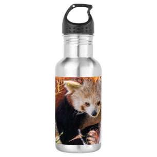 Fauler kleiner Roter Panda Edelstahlflasche