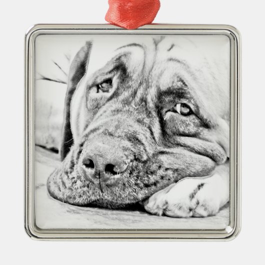 Fauler Mastiff Silbernes Ornament (Vorne)
