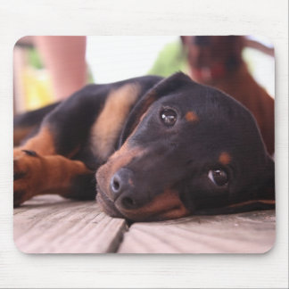 Fauler Sommer-Tag Mousepad