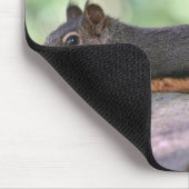 Faules Eichhörnchen-Foto Mousepad (Ecke)