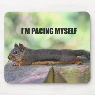 Faules Eichhörnchen-Foto Mousepad