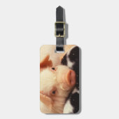 Faules Ferkel Gepäckanhänger (Vorderseite vertikal)