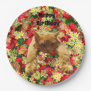 Faules Katze auf Rosen, Geburtstagspapierplatten Pappteller