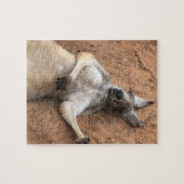Faules-Tage-Känguru Puzzle (Horizontal)