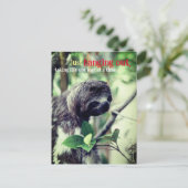 Faulheit im Foto Postkarte (Stehend Vorderseite)