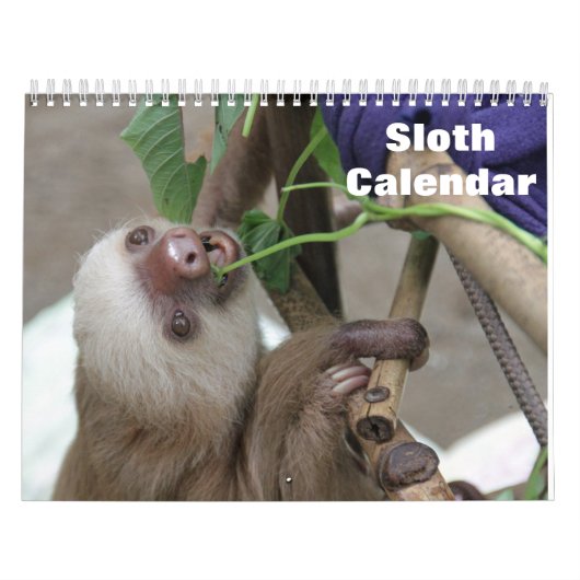 Faultier 2027 kalender (Titelbild)
