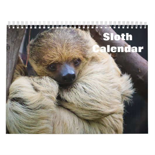 Faultier 2027 kalender (Titelbild)