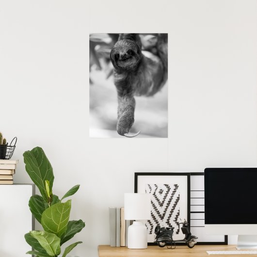 Faultier aus Baumzweig Poster (Heimbüro)